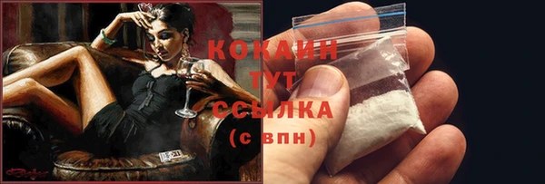 2c-b Богородицк