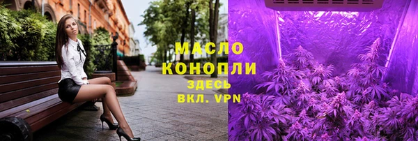 2c-b Богородицк