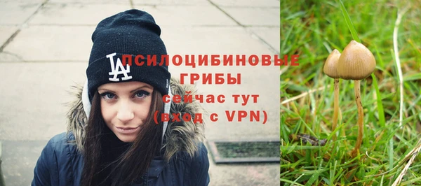 ALPHA PVP Беломорск
