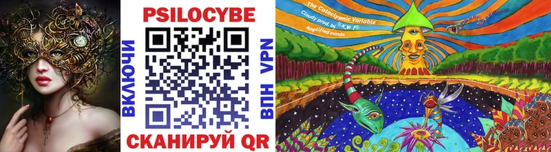 ОМГ ОМГ вход  Калининец  Галлюциногенные грибы Cubensis 